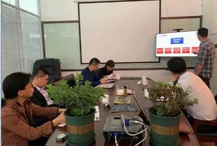 項(xiàng)目申報(bào)、財(cái)稅審計(jì)及信息技術(shù)與融資咨詢?nèi)轿唤馕? class=